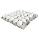 Fresh & Organic Eggs