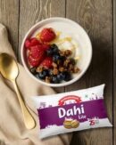 Madhusudan Dahi Lite 140 gm