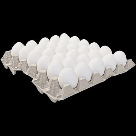 Fresh & Organic Eggs - Image 2