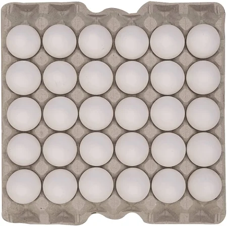 Fresh & Organic Eggs - Image 4